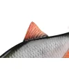 Fox Rage Ultra Realistic Roach Replicant Plotica Plastová Nástraha 18cm 80gr