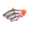 Fox Rage Ultra Realistic Roach Replicant Plotica Plastová Nástraha 18cm 80gr