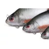 Fox Rage Ultra Realistic Roach Replicant Plotica Plastová Nástraha 18cm 80gr