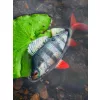 Fox Rage Ultra Realistic Perch Replicant Ostriež Plastová Nástraha 10cm 22gr
