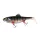Fox Rage Obrovský Replicant Wobble UV Young Perch 27cm 218gr Gumená nástraha