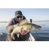 Fox Rage Bulk Loaded Slick Shads UV Arkansas Shiner 11cm 3/0 12gr Plastová Nástraha