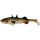 WESTIN Stanley the Stickleback Shadtail 9cm 7g - Lively Roach 6ks/bal Plastová nástraha