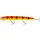 WESTIN Jätte Crankbait 17cm 47g Plávajúci Ostražitý Tiger Wobler
