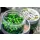 Sonubaits Bandum Wafter Marine Green 8mm Wafter 40gr